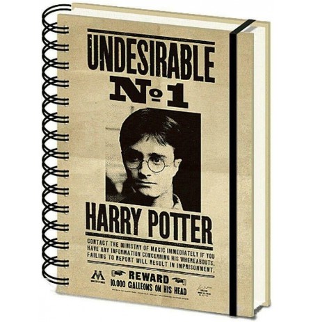 Harry Potter (Sirius & Harry) A5 Notebook