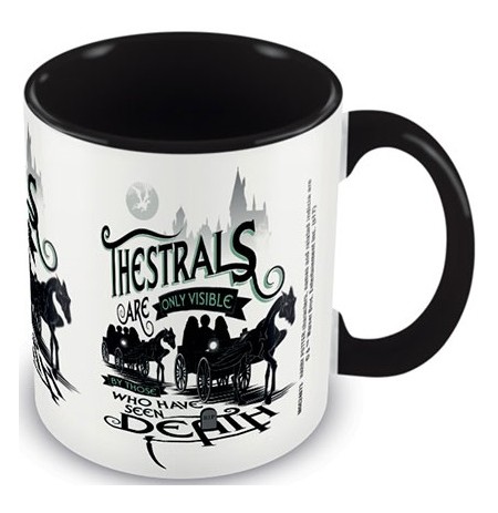 Harry Potter Thestrals puodelis (315ml)