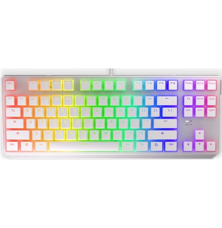 Endorfy Thock TKL mechanical keyboard with RGB Pudding Edition (US, Kailh BLUE switch)