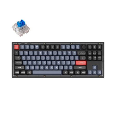 Keychron V3 80% mechaninė klaviatūra (ANSI, Frosted Black, RGB, Hot-swap, US, Pro Blue Switch)