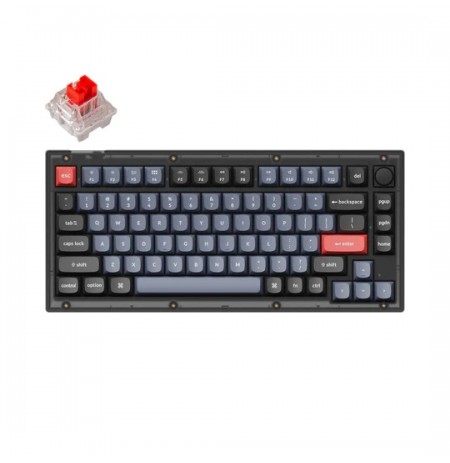 Keychron V1 75% Mechanical Keyboard (ANSI, Frosted Black, RGB, Hot-swap, US, Pro Red Switch)