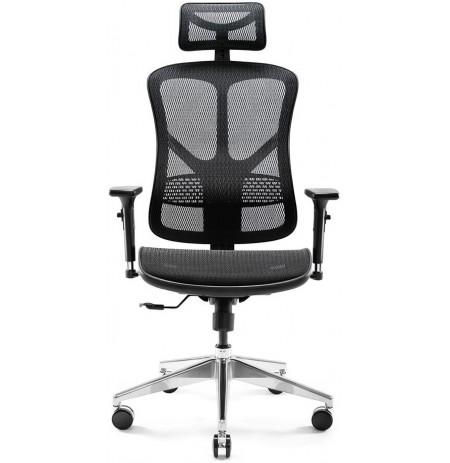 DIABLO V-BASIC Ergonomic Chair (Black)